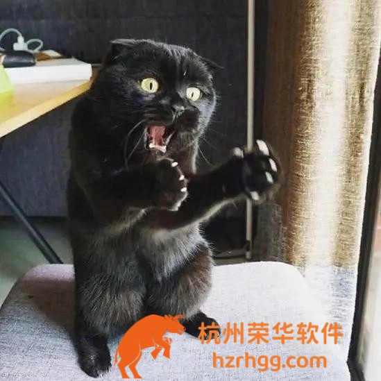 一肖一碼特別準(zhǔn)100%中獎:揭開“必中”傳說的真相與邊界