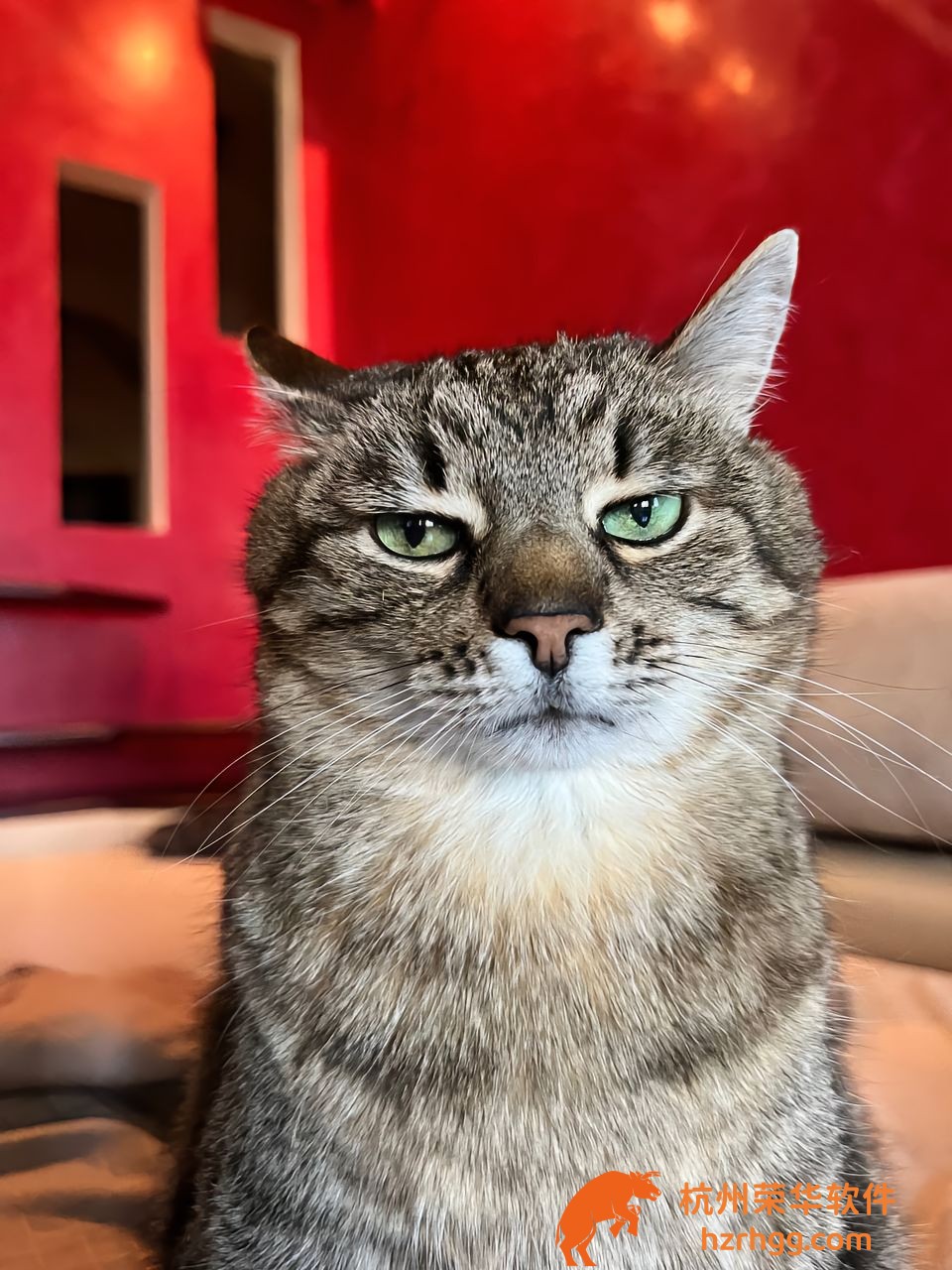 澳門正版山海經(jīng)資料最準：專家點評與熱門號碼分析